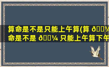 算命是不是只能上午算(算 🌼 命是不是 🌼 只能上午算下午)